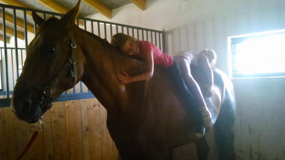 Caballus Lovasmajor Panzio Nyíregyháza Exterior foto