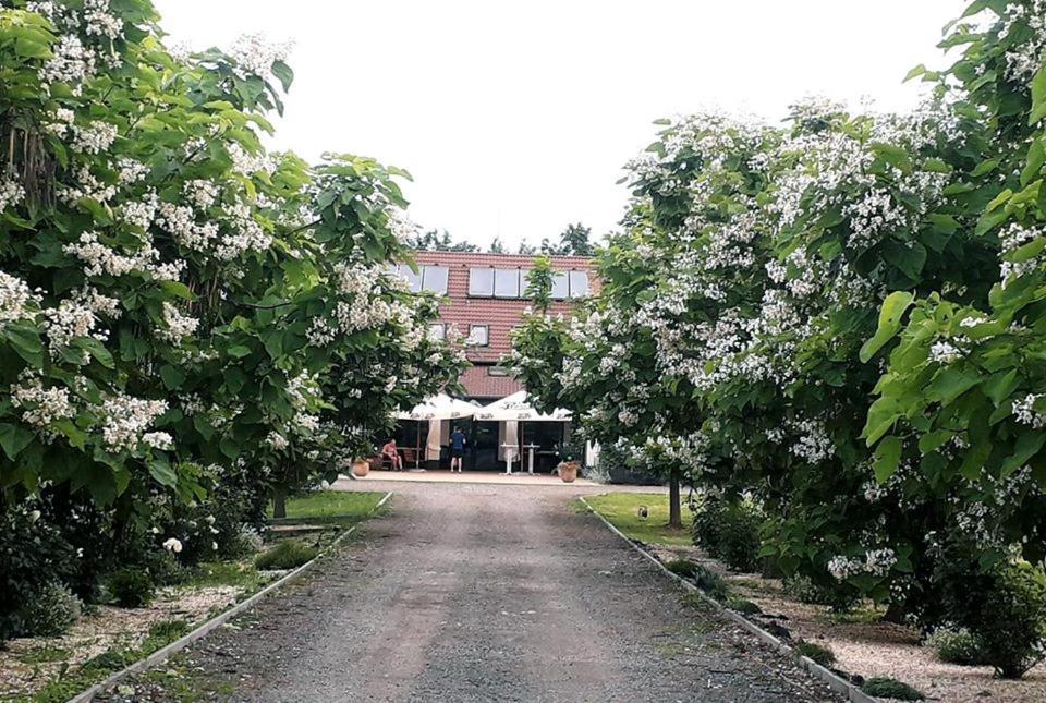 Caballus Lovasmajor Panzio Nyíregyháza Exterior foto