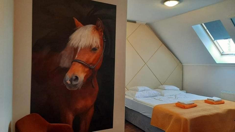 Caballus Lovasmajor Panzio Nyíregyháza Exterior foto